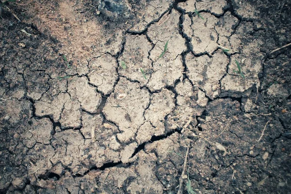 Ραγισμένα, ξηρό χώμα — Φωτογραφία Αρχείου