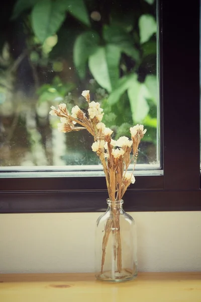Flores secas en un jarrón — Foto de Stock