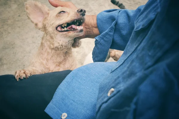 Man with dog — Stock Photo, Image