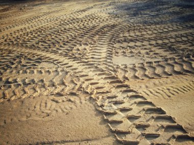 Topraktaki tekerlek izleri.