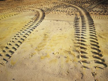 Topraktaki tekerlek izleri.