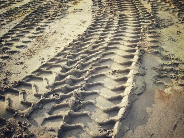 Wielsporen op de grond. — Stockfoto