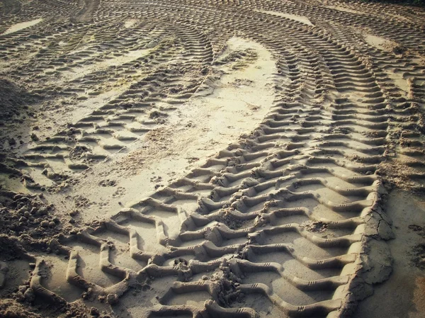 Wielsporen op de grond. — Stockfoto