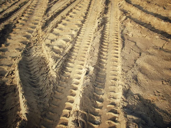 Wielsporen op de grond. — Stockfoto