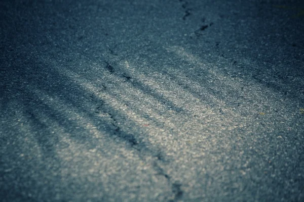 Leaves with shadow — Stock Photo, Image