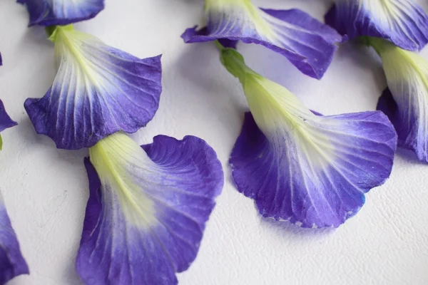 Flores de ervilha borboleta — Fotografia de Stock