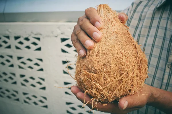 Noix de coco sur les mains — Photo