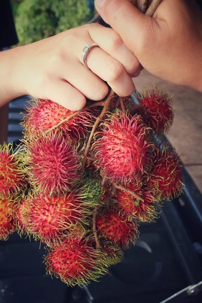 Rambutan — Stock Photo, Image