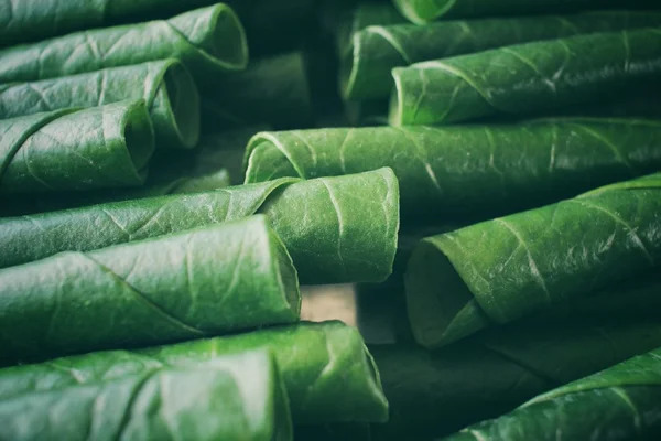 Betel blad — Stockfoto