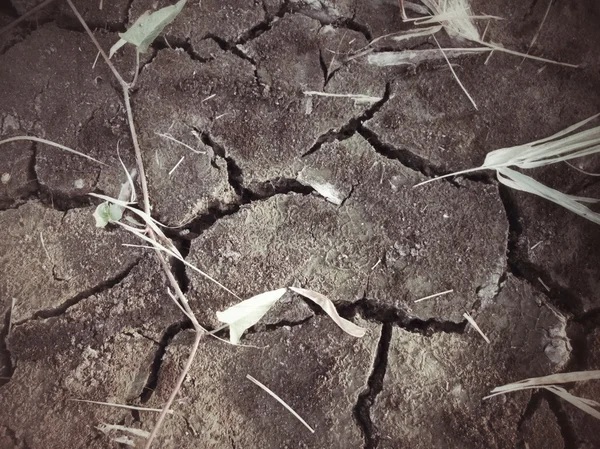 Тріщинами сухий грунту — стокове фото