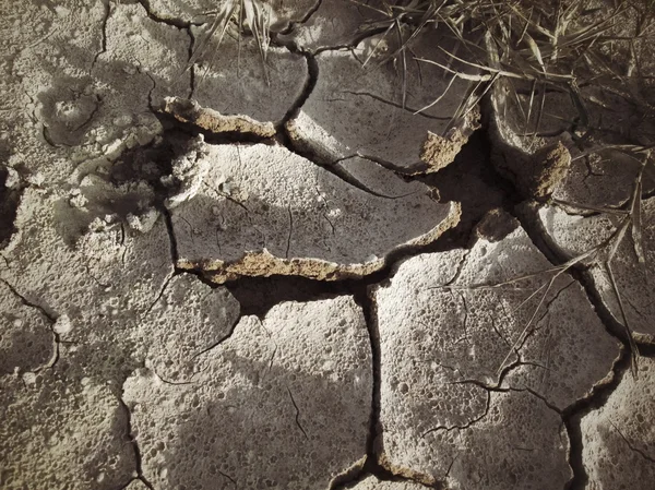 Cracked dry soil — Stock Photo, Image