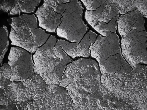 Terra secca incrinata — Foto Stock