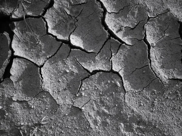 Cracked dry soil — Stock Photo, Image