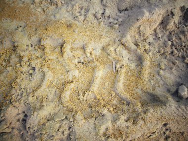 Topraktaki tekerlek izleri.