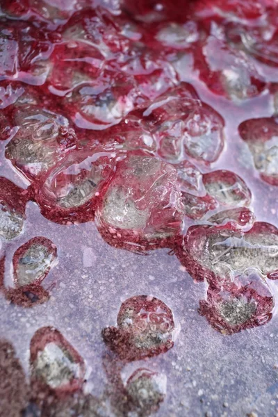Kostki lodu z czerwonej wody — Zdjęcie stockowe