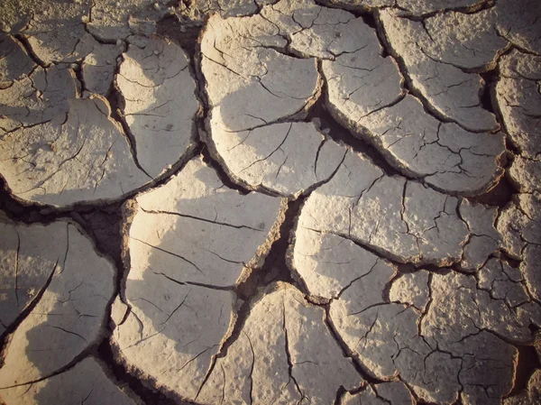 Cracked dry soil — Stock Photo, Image