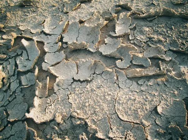 Треснувшая сухая почва — стоковое фото