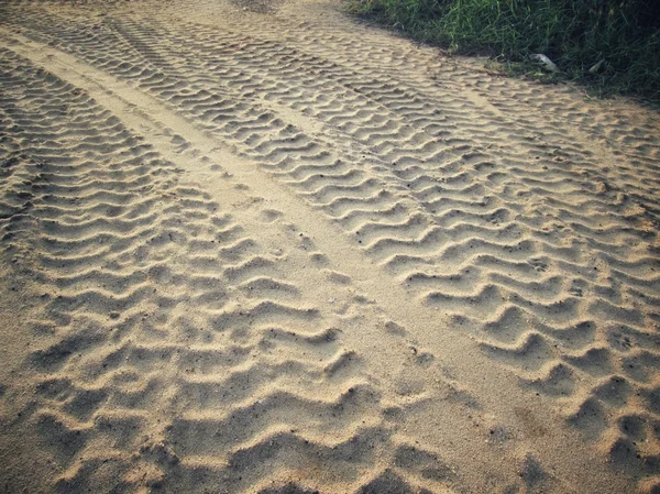 Wielsporen op de grond. — Stockfoto