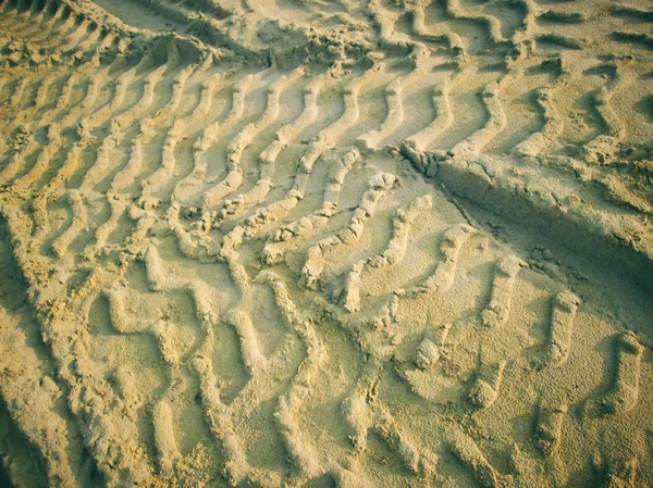 Tracce di ruote sul terreno. — Foto Stock