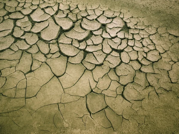 Cracked dry soil — Stock Photo, Image