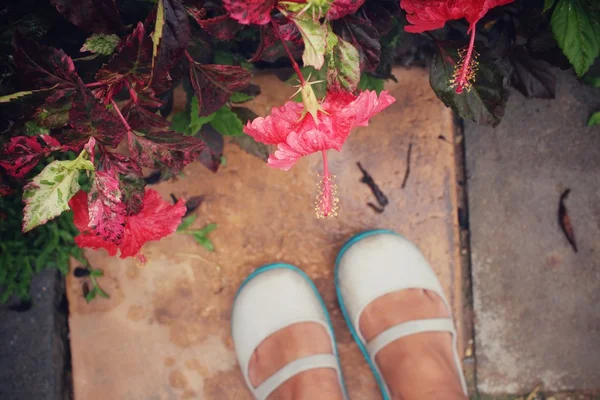 Selfie de sapatos com flores de hibisco - flores vermelhas — Fotografia de Stock