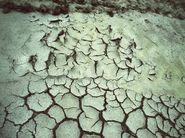 Rissige trockene Böden — Stockfoto