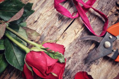 Buket kırmızı gül çiçek yapma kadın