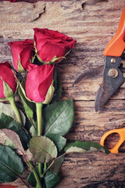 Buket kırmızı gül çiçek yapma kadın