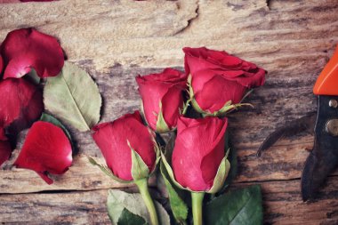 Buket kırmızı gül çiçek yapma kadın