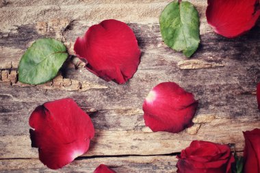 Kırmızı gül yaprakları