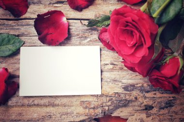 kırmızı gül ile boş kartı