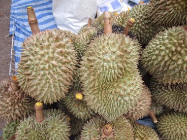 Durian.