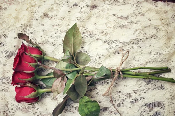 Rosas vermelhas — Fotografia de Stock