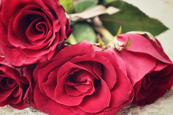 Red roses — Stock Photo, Image