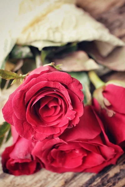 Red roses — Stock Photo, Image