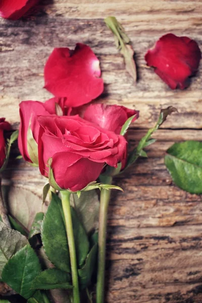 Red roses — Stock Photo, Image