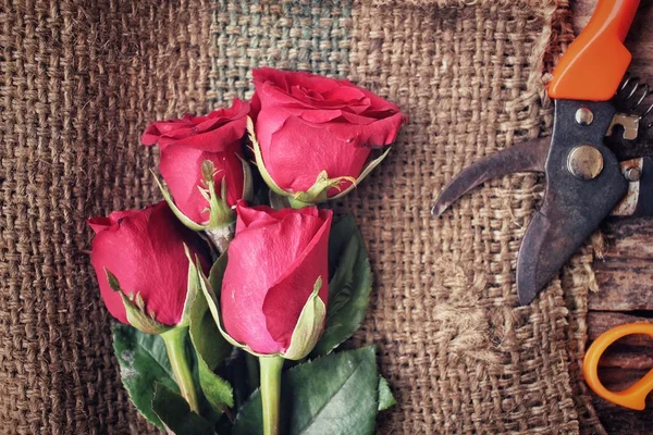 Buket kırmızı gül çiçek yapma kadın