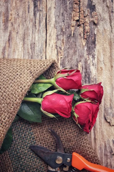 Buket kırmızı gül çiçek yapma kadın