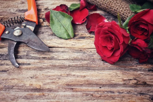 Buket kırmızı gül çiçek yapma kadın