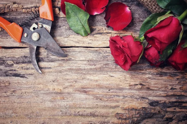 Buket kırmızı gül çiçek yapma kadın