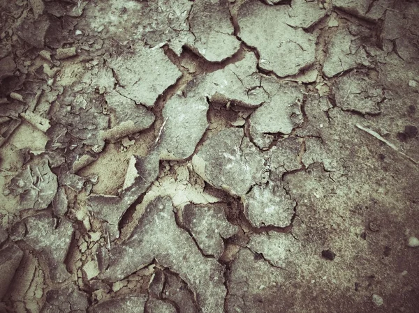 Cracked dry soil — Stock Photo, Image