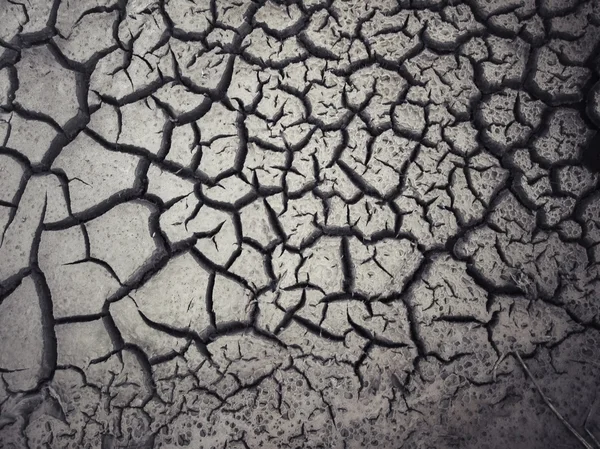 Cracked dry soil — Stock Photo, Image