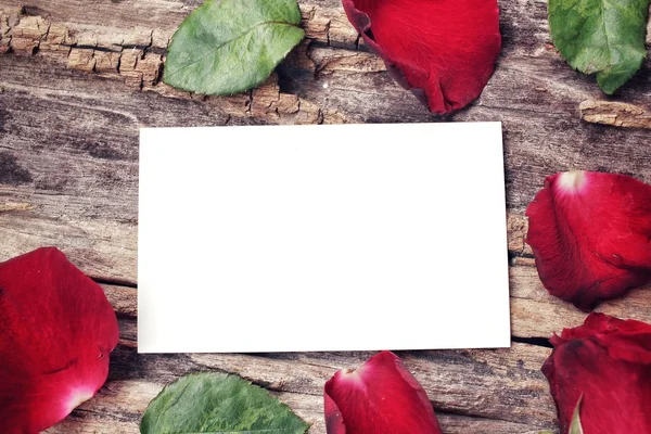 kırmızı gül ile boş kartı