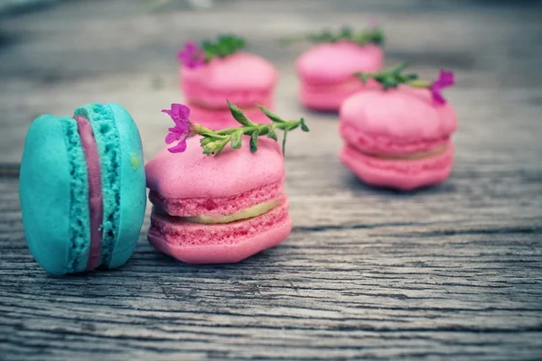 Pembe çiçekli Fransızca macaroons — Stok fotoğraf