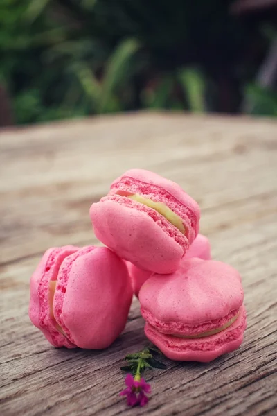 Französische Makronen mit rosa Blüten — Stockfoto