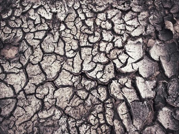 Cracked dry soil — Stock Photo, Image