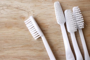 Diş fırçaları