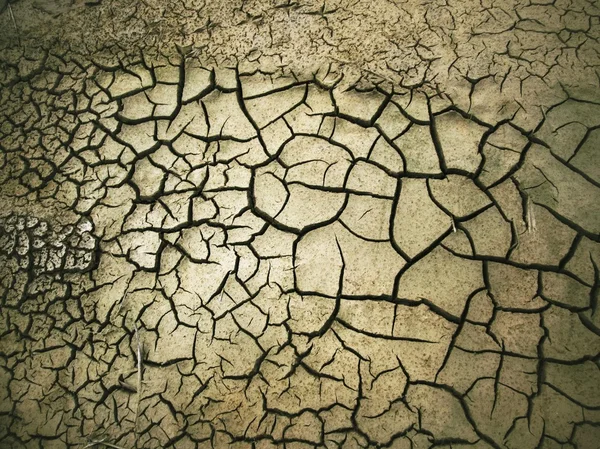 Cracked dry soil — Stock Photo, Image