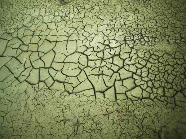 Cracked dry soil — Stock Photo, Image