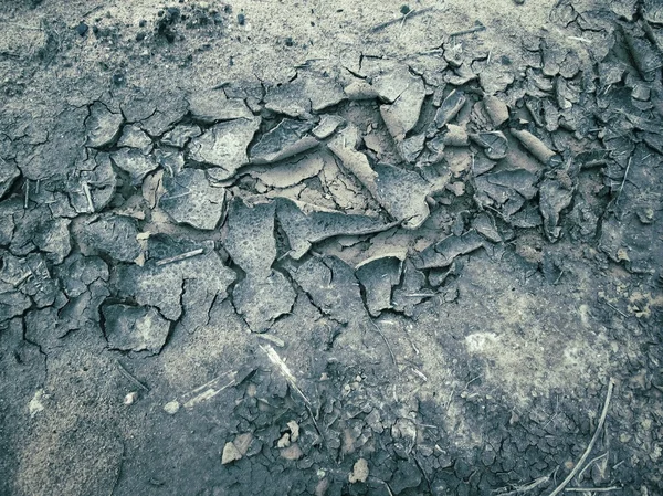 Rissige trockene Böden — Stockfoto